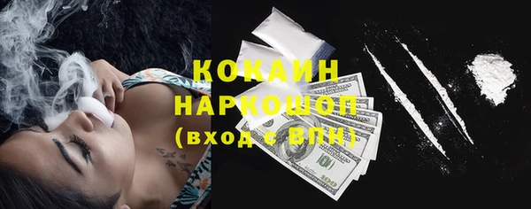крисы Абаза