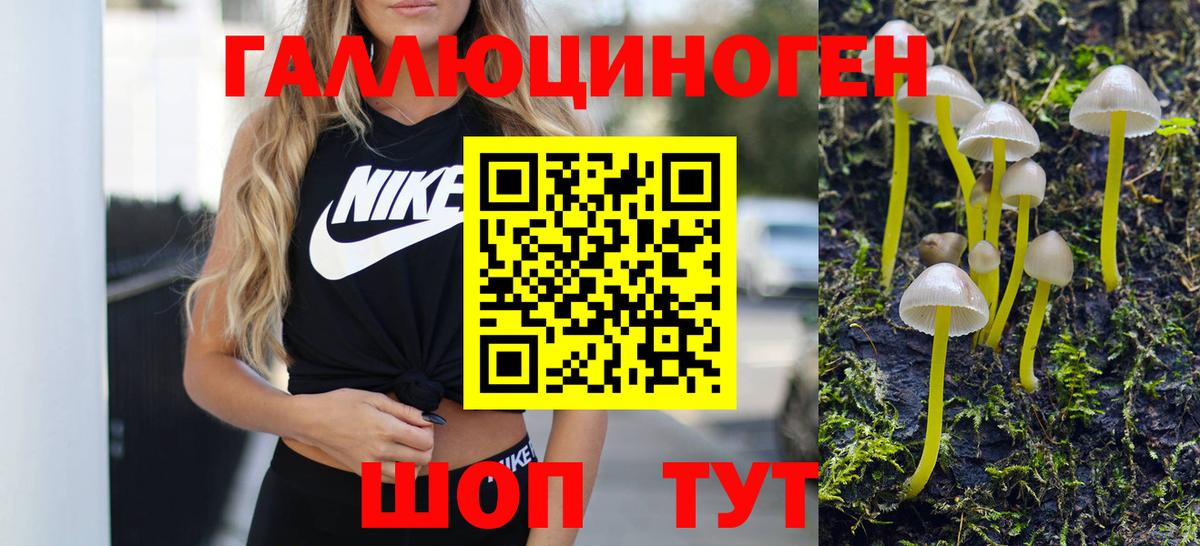 купить наркоту  Вход с VPN  Алексеевка  Галлюциногенные грибы Magic Shrooms 